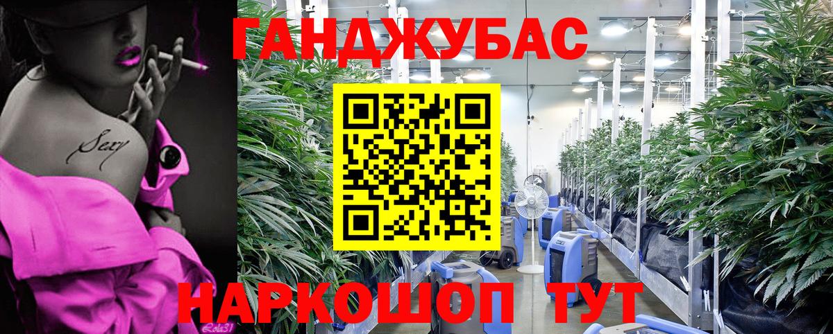 Конопля сатива  Вход с VPN  Котовск  МАРИХУАНА Amnesia  Шишки марихуана семена 